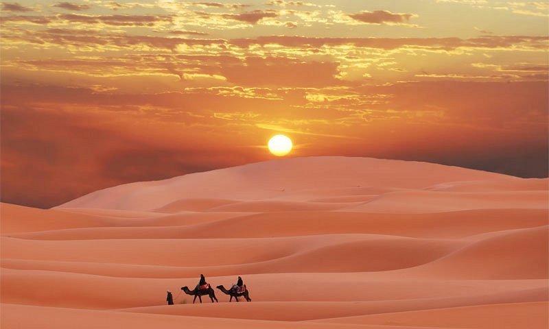 Camel Trekking